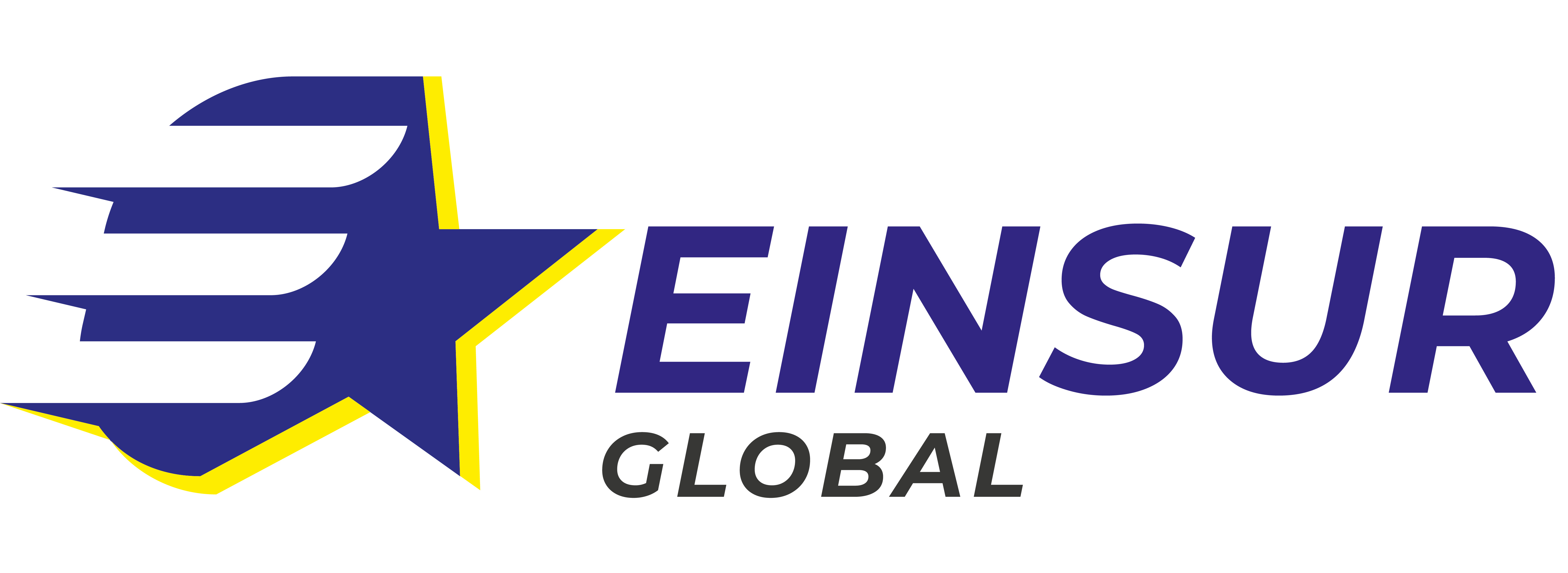 Einsur Global Logo